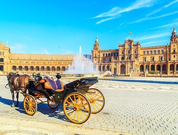 Coche de caballos con guía
