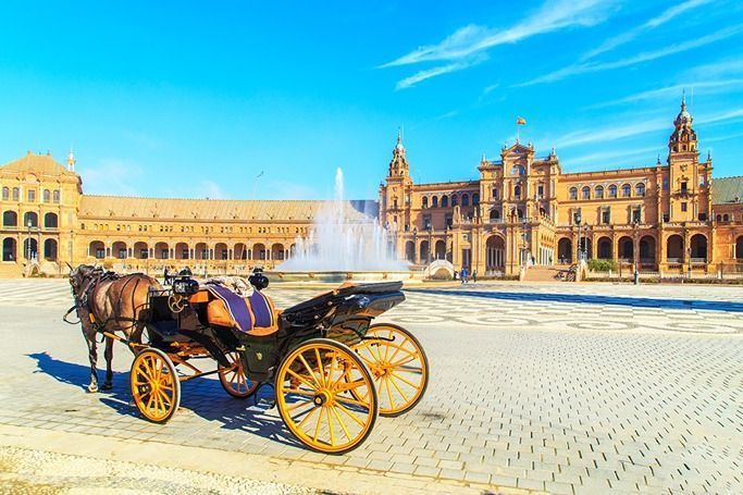Coche de caballos con guía